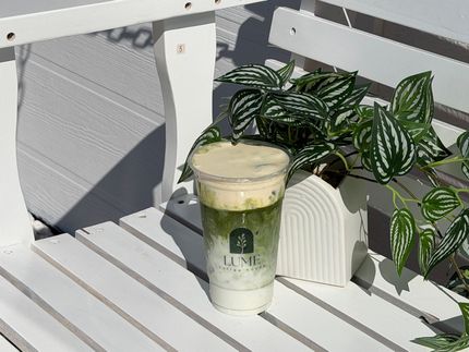 Iced latte in a clear cup on a white bench beside a leafy green plant in sunlight