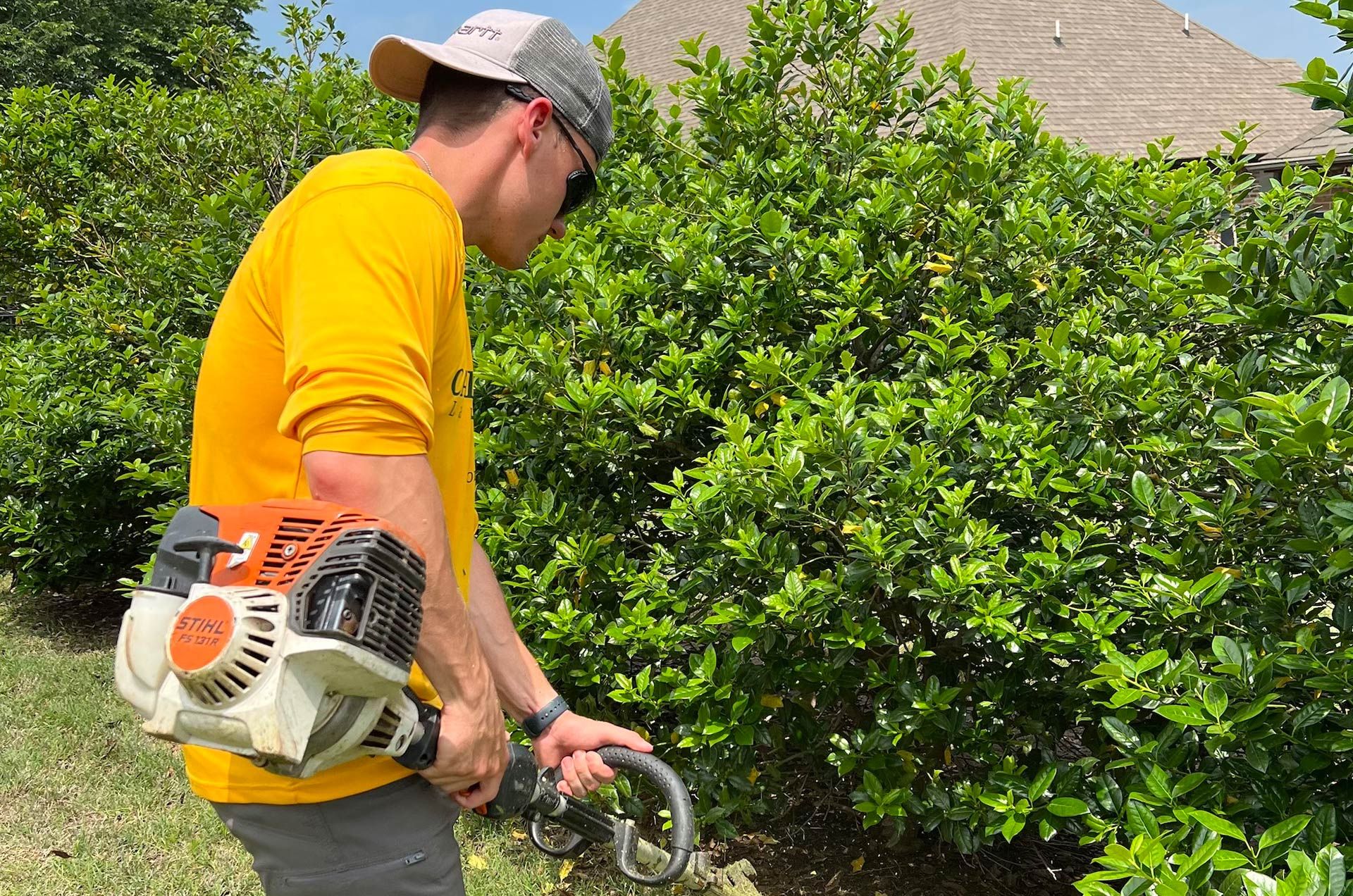 Man in yellow shirt using a weed wacker to trim a hedge in a yard.