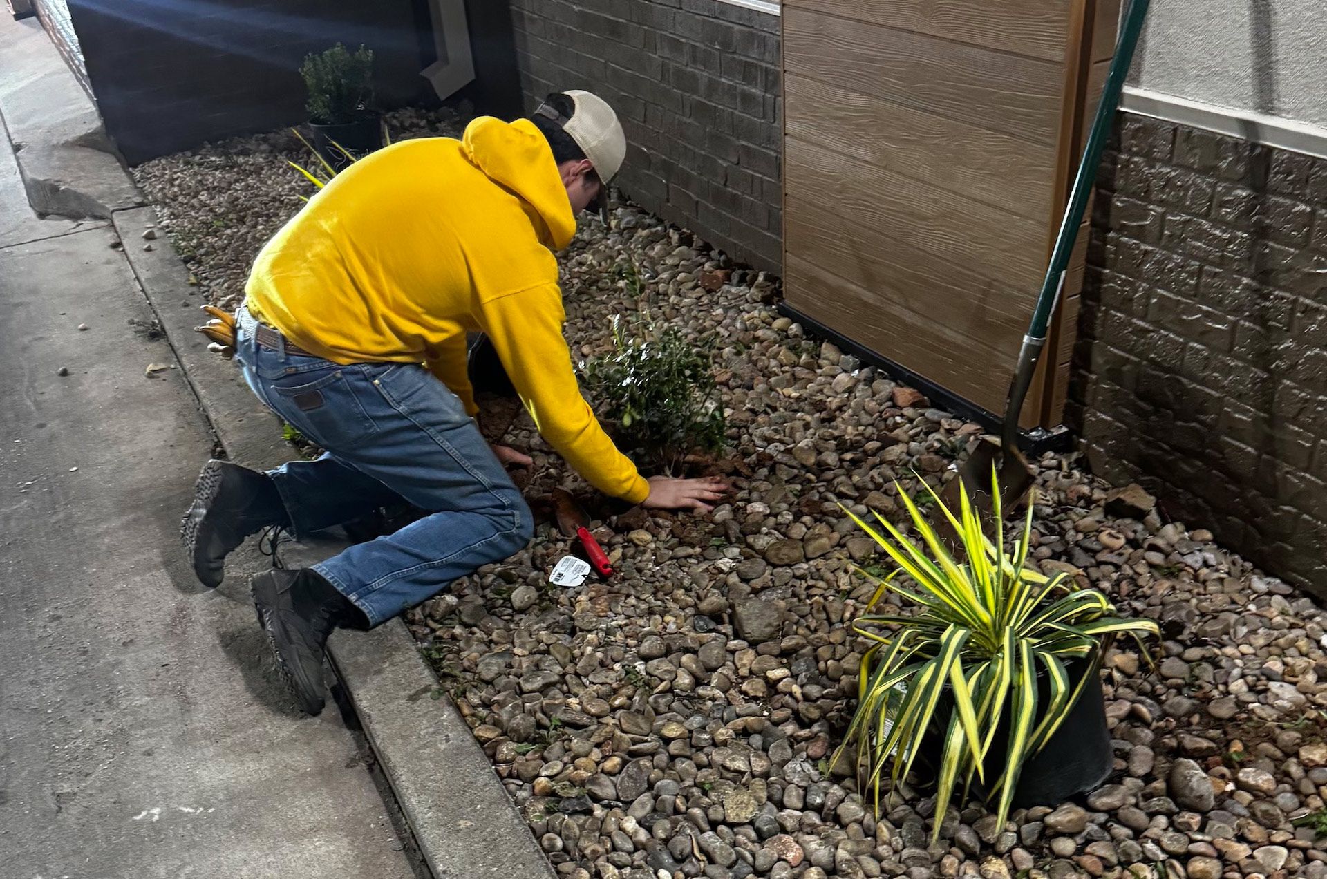 Person in yellow hoodie kneels, tending to plants in a gravel bed next to a building at night.