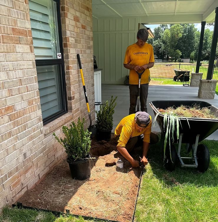 Two people planting shrubs next to a brick building. One kneels while the other stands, wheelbarrow nearby.