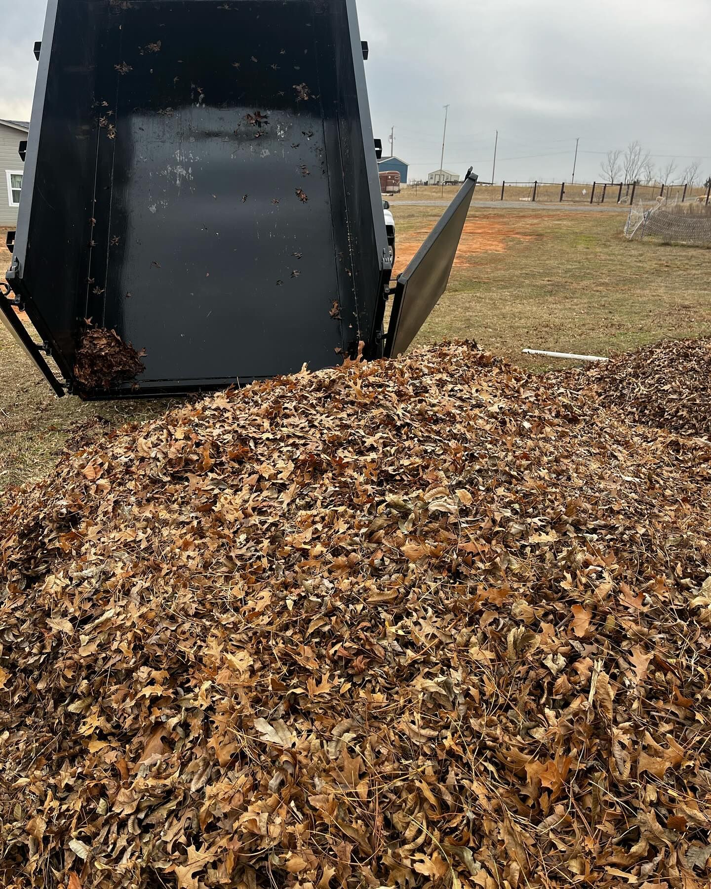 Large pile of leaves being dumped from a black truck into a field.