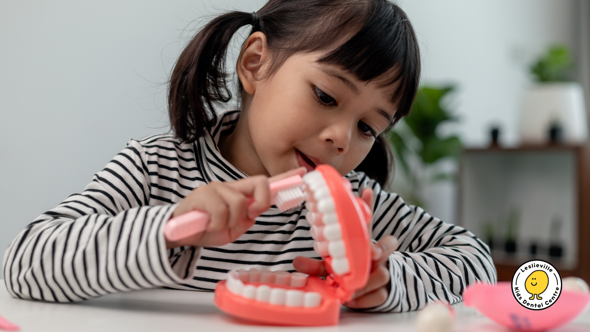 A little girl is brushing her teeth with a toothbrush on a model of teeth.