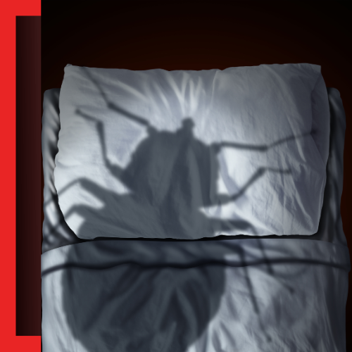 Bed-Bug-Control