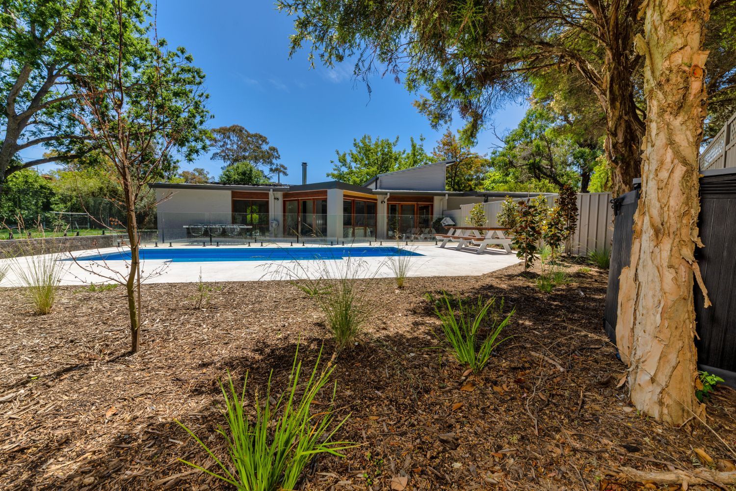 A swimming pool with blue water sits in a landscaped yard behind a modern house on a sunny day.