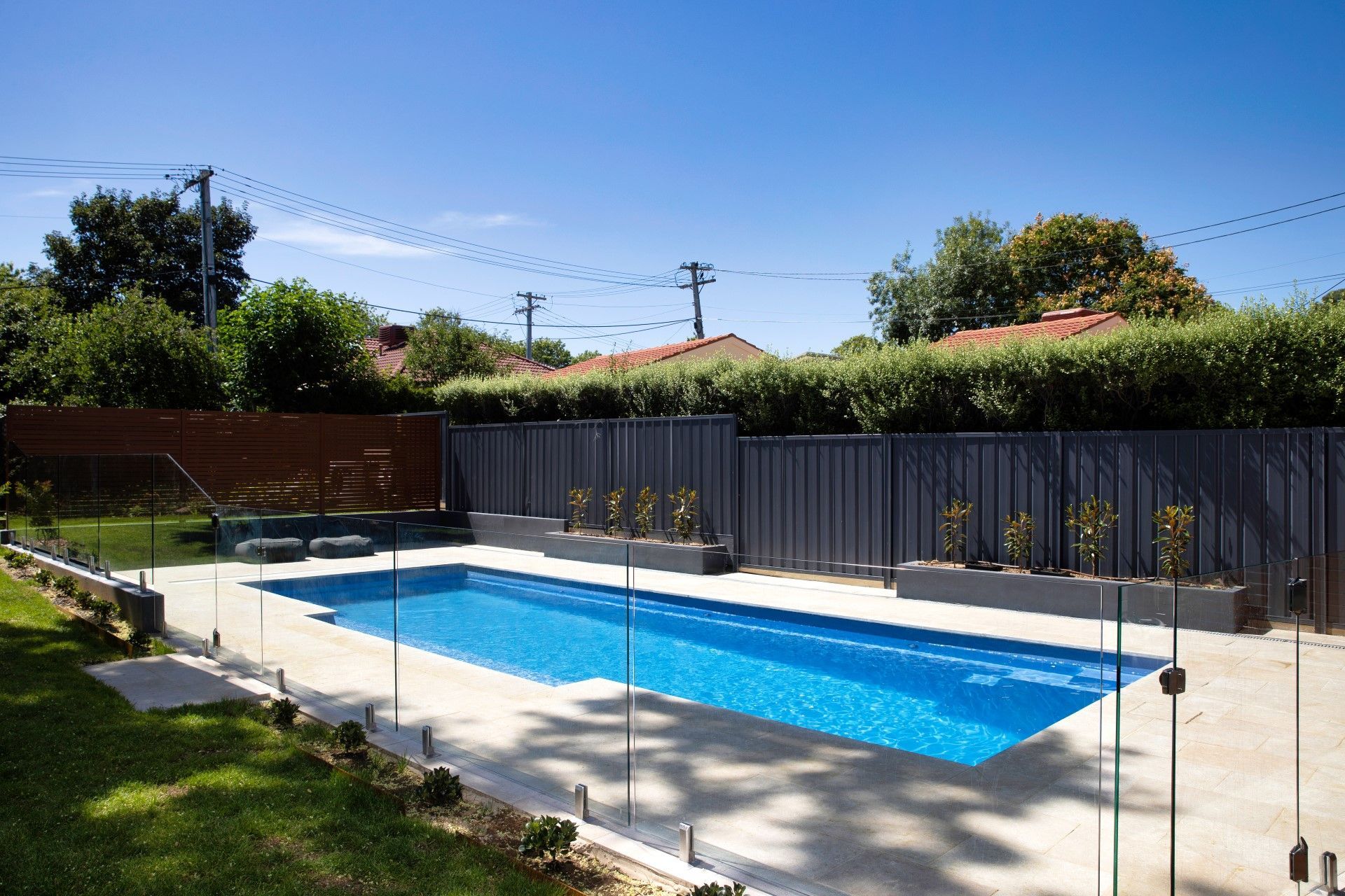 A rectangular blue swimming pool set in a sunny backyard with modern grey fencing, glass panels, and green trees.