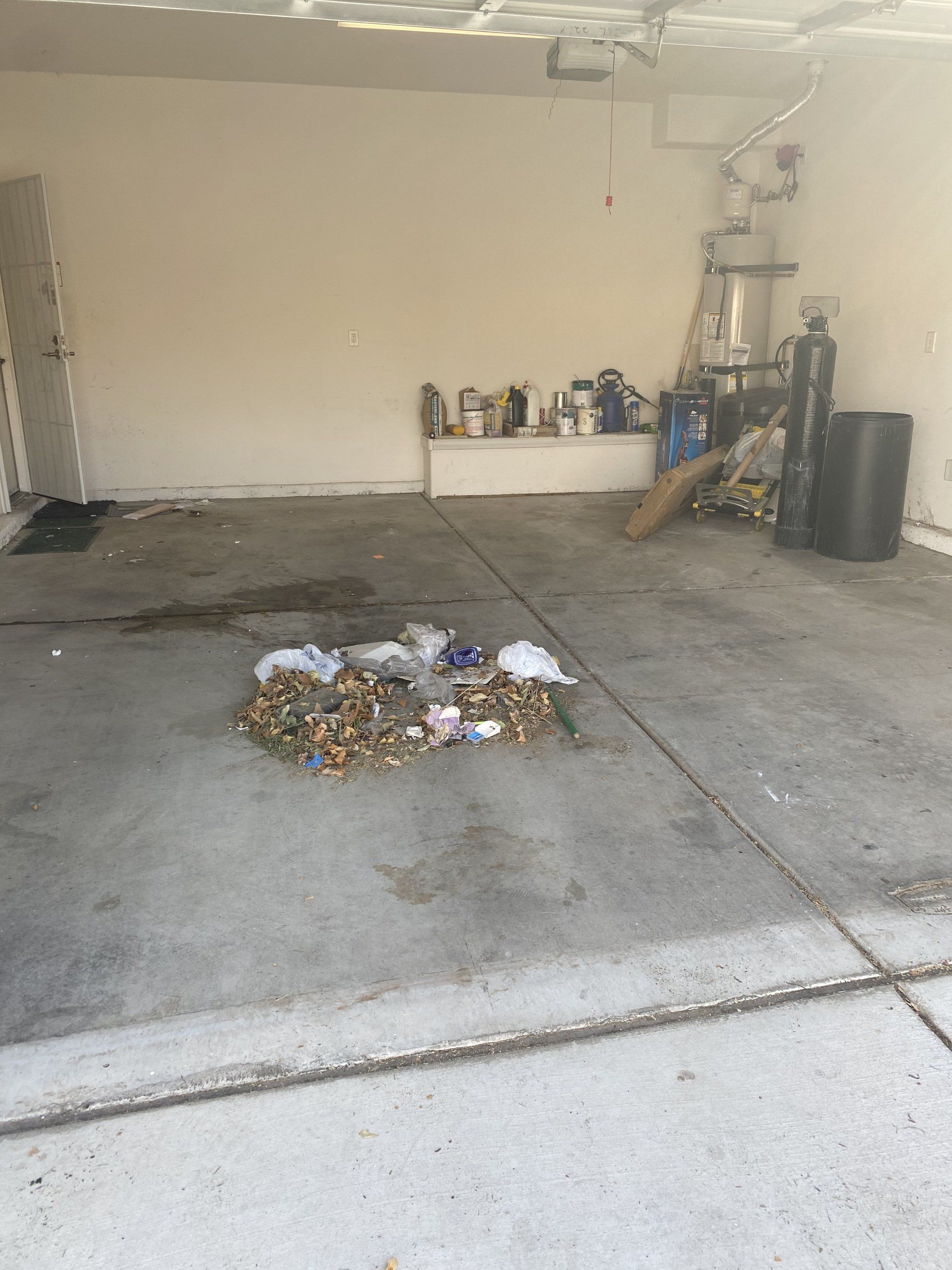 Hoarding situation, garage