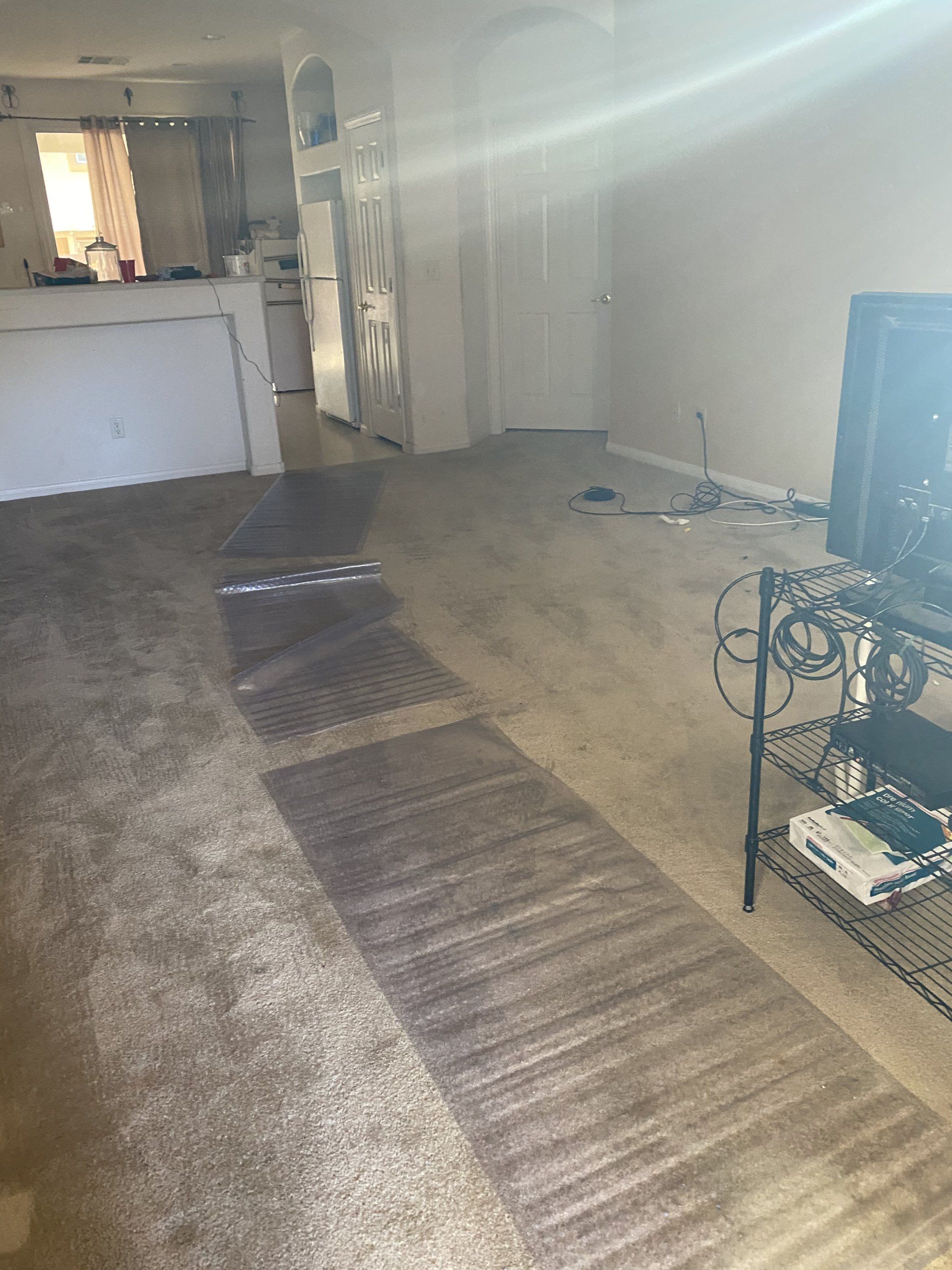 Hoarding situation, living room