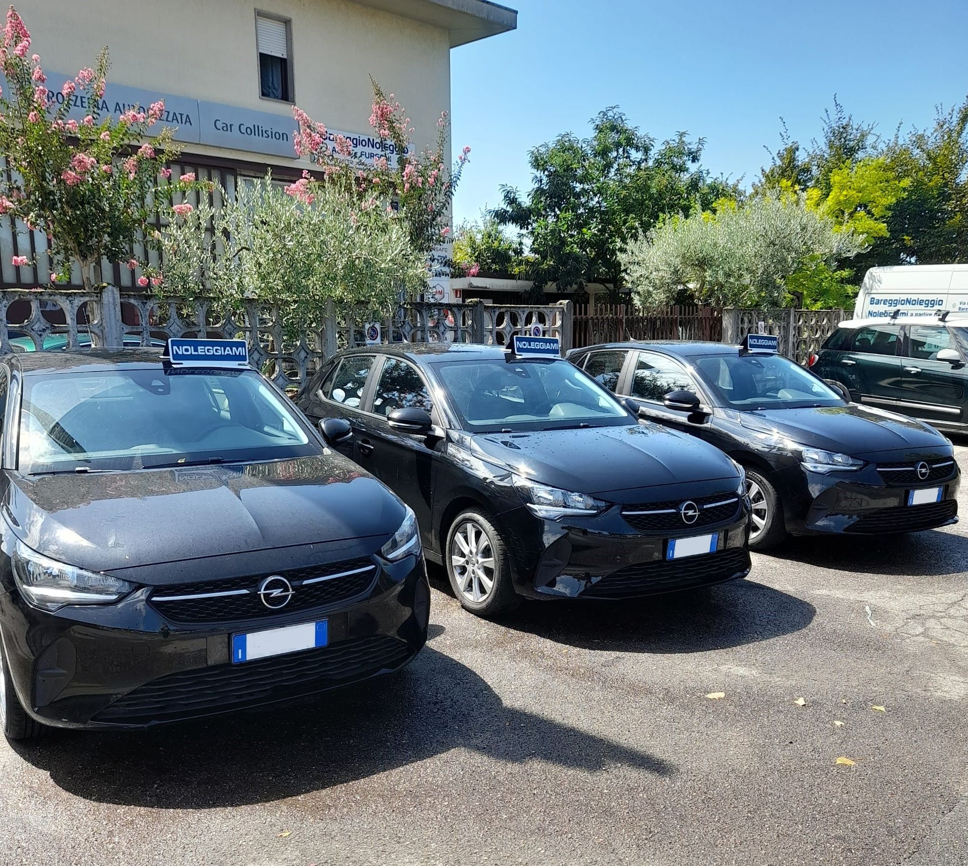 auto noleggio