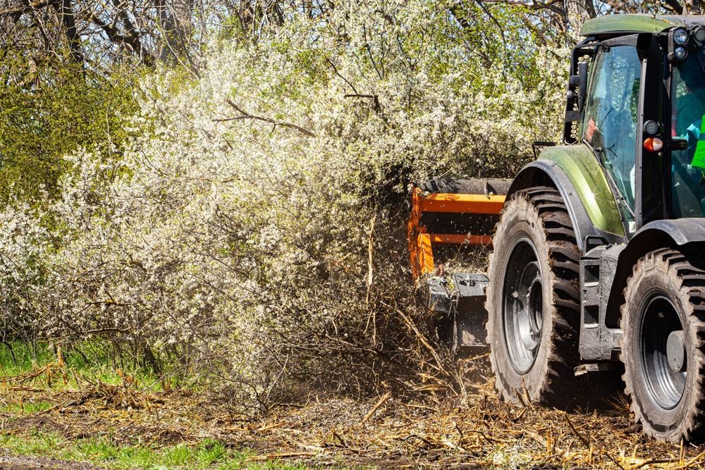 Tractor clearing dense bushes in a field, with branches and leaves being cut back.