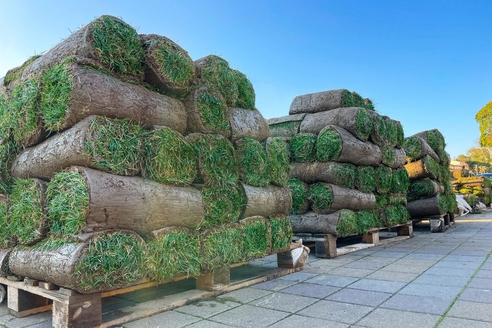 Stacked stone-like sculptures covered in green vines along a paved walkway under a blue sky