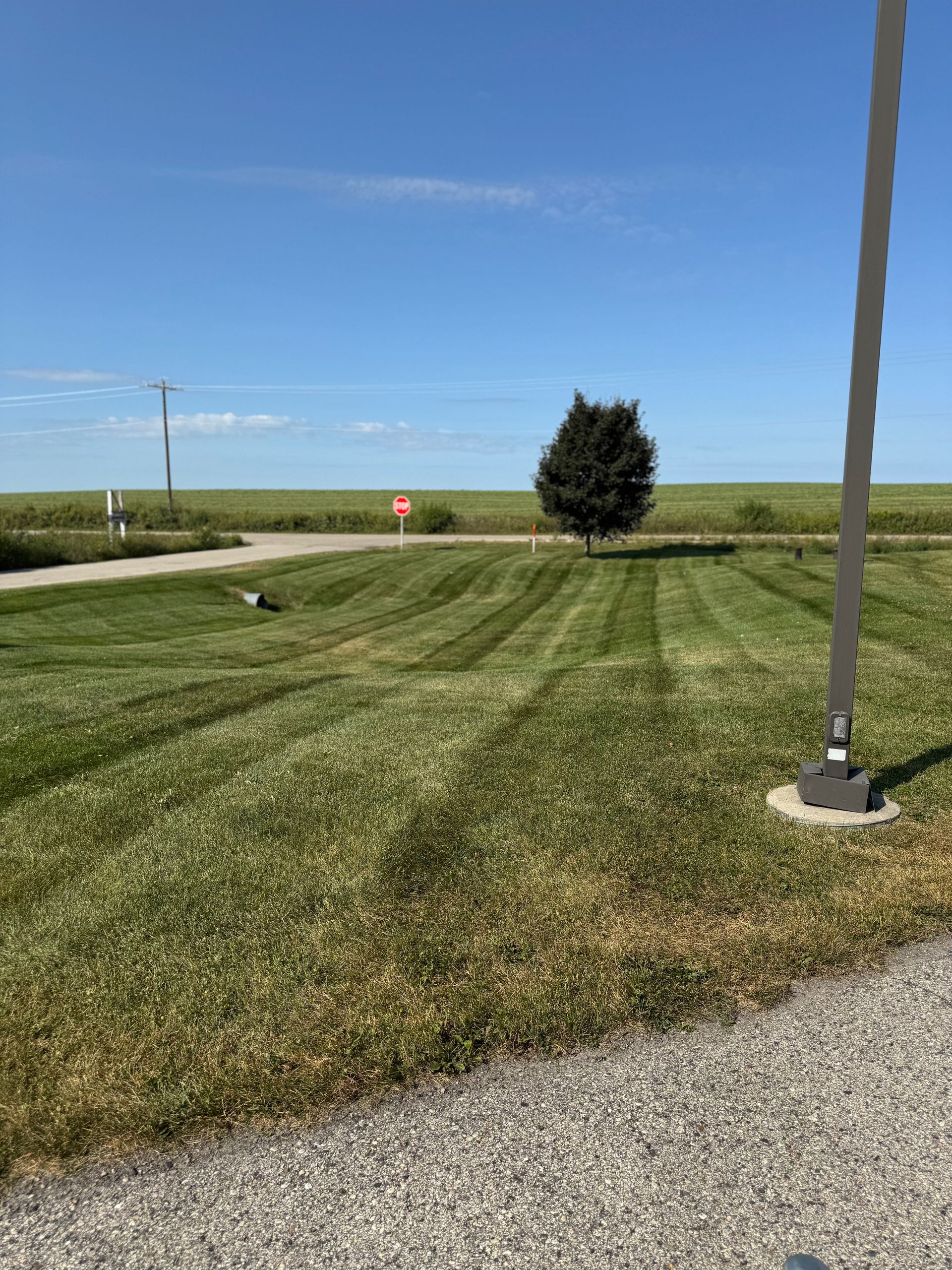 Grassy roadside under a blue sky with a lone tree, utility poles, and a distant stop sign.