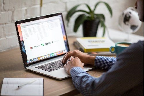 Person typing on a laptop at a desk with a potted plant in the background
