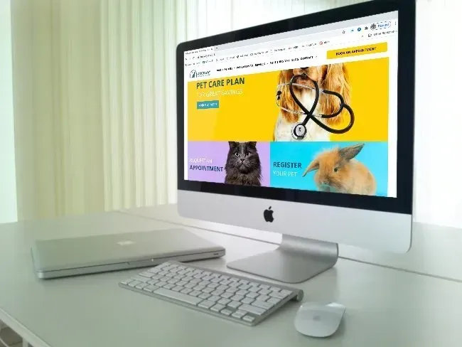 Website Design for Archway Vets, Chepstow