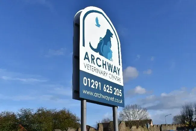 Website Design for Archway Vets, Chepstow