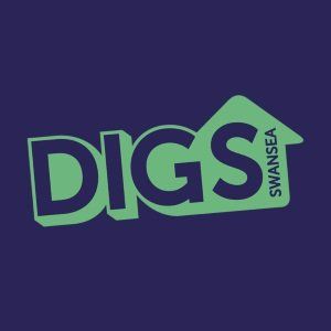 Website Sorted Graphic Design Services | Digs Swansea Logo Design
