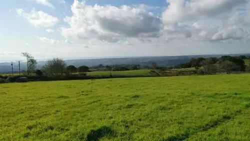 Vale View Dog Field