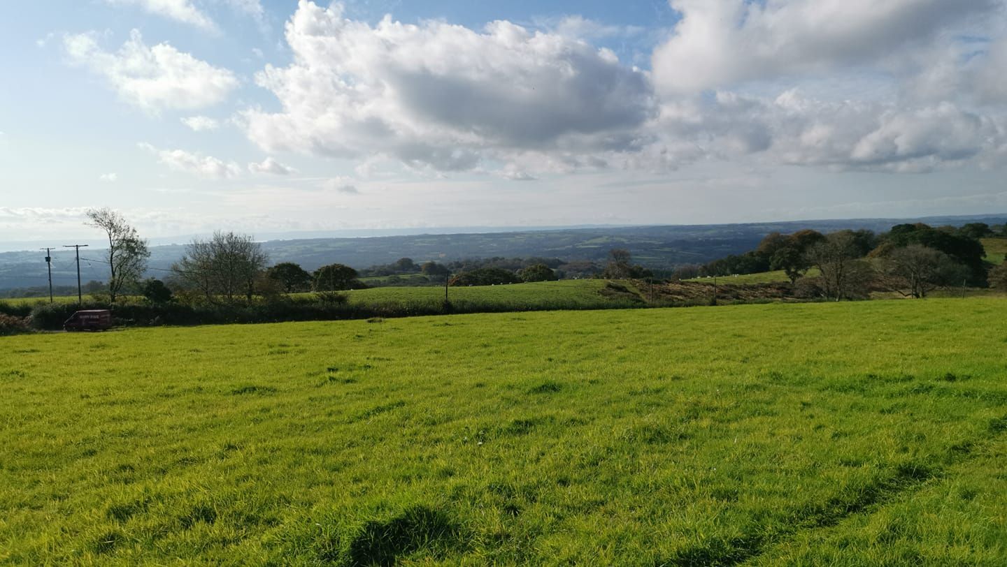 Vale View Dog Field