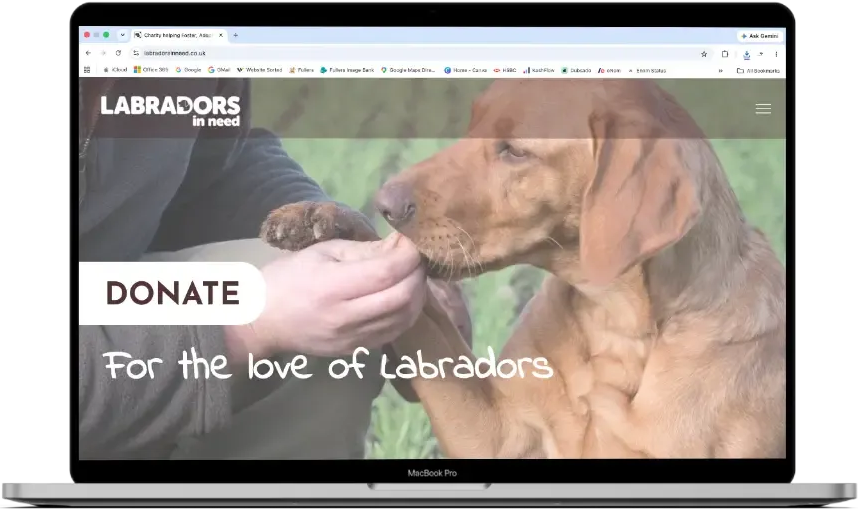 E-Commerce Website Design Portfolio | Labradors in Need