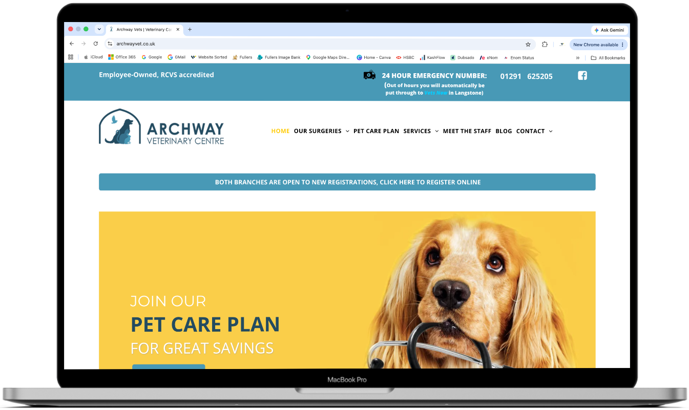 Veterinary Website Design | Website Porfolio