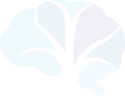 apex tms therapy and ketamine therapy north carolina brain