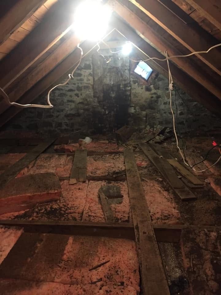 Un coin de mur avec beaucoup de moisissure dessus.