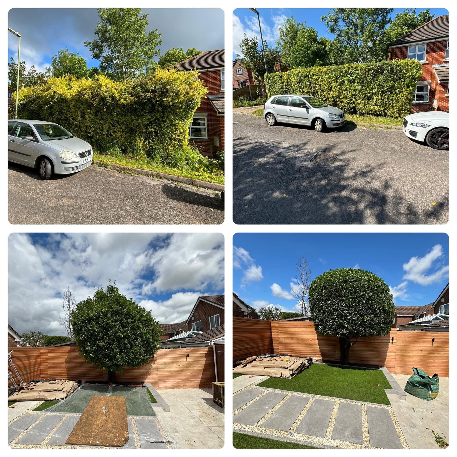 collage of images with hedges being trimmed