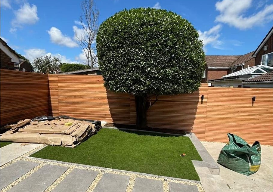 Tree trimmed in garden with modern fence behind