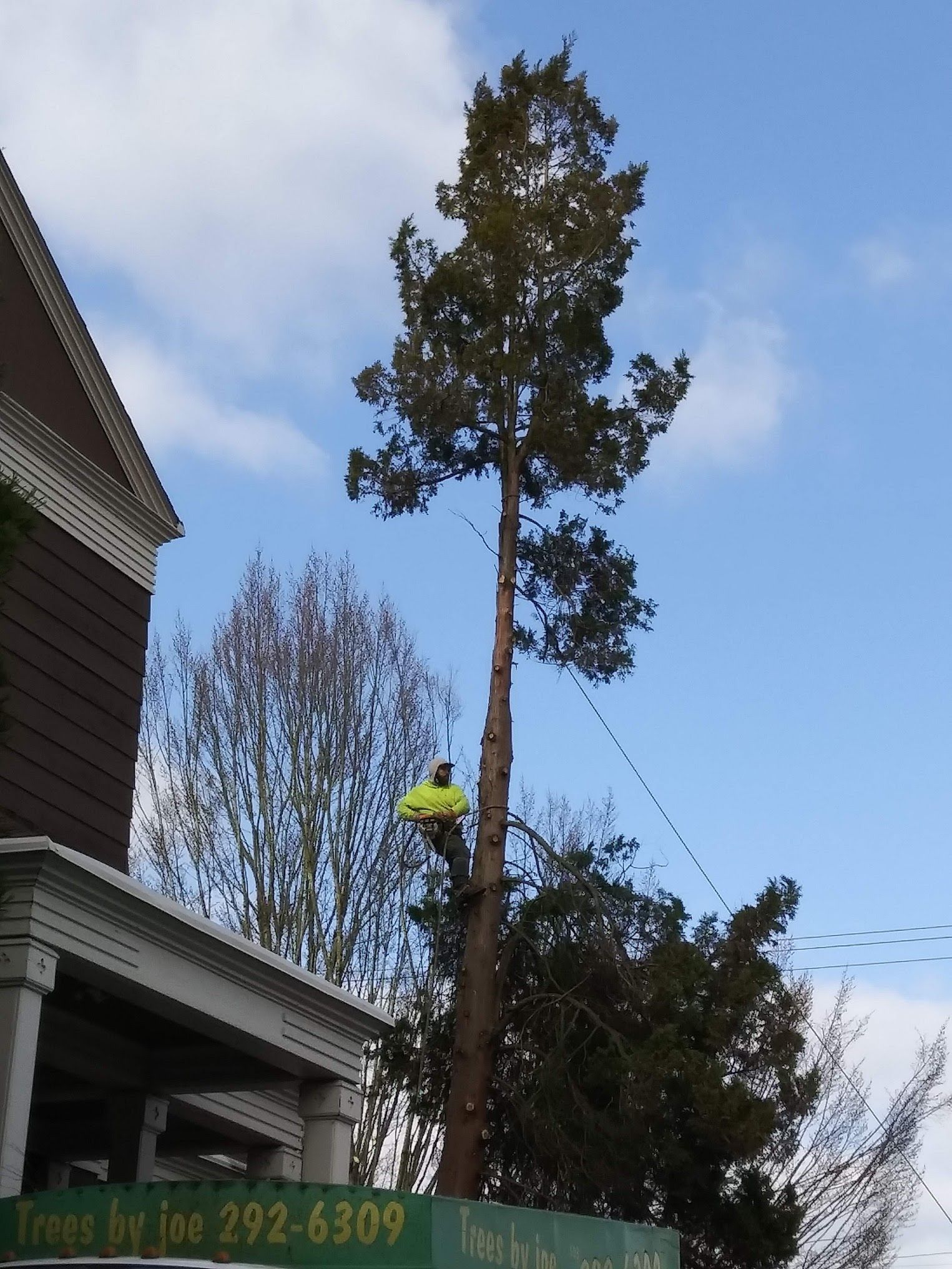 A tree being cut down in front of a house