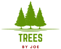 A logo forTrees By Joe with three trees on a white background.