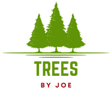 A logo forTrees By Joe with three trees on a white background.
