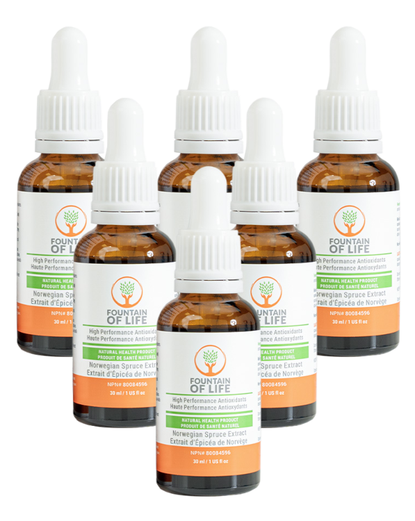 Fountain Of Life - Six (6) Bottles