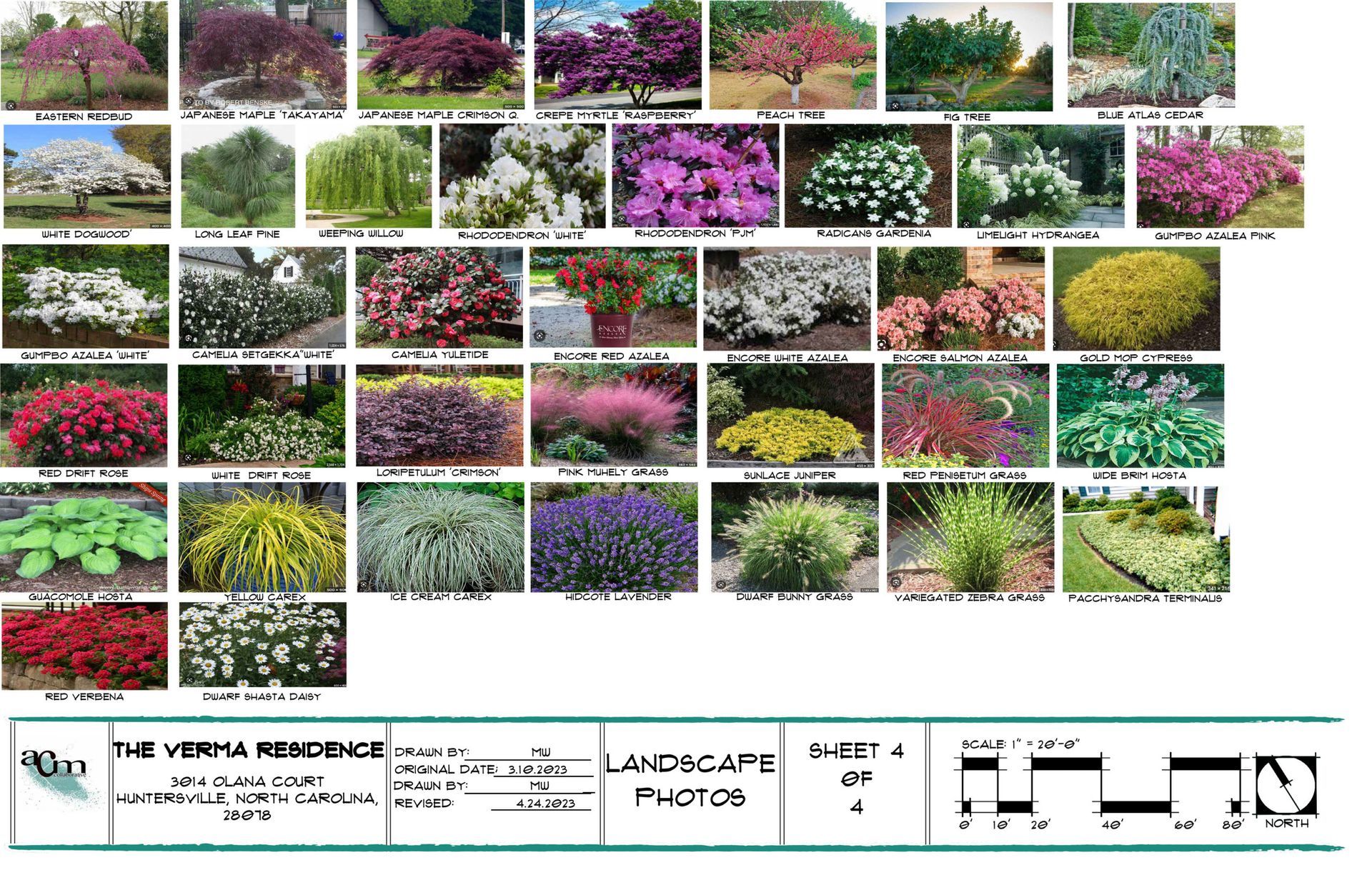Collage of colorful flowering shrubs and landscape plants with a small label strip at the bottom.