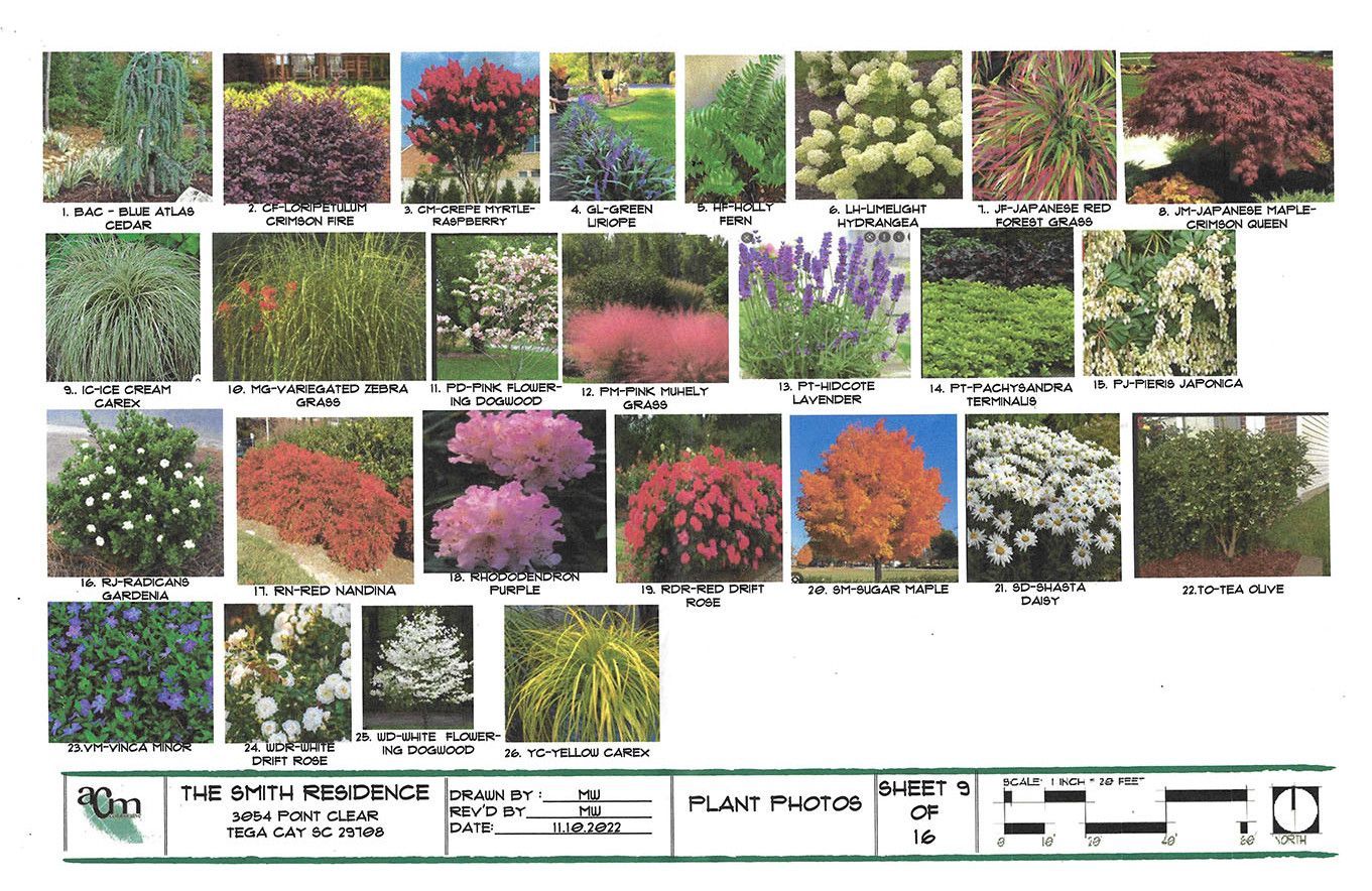 Plant selection chart with multiple labeled photos of colorful shrubs and trees, including red, purple, orange, and white blooms