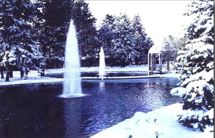 Snowy park pond with two water fountains and trees in winter