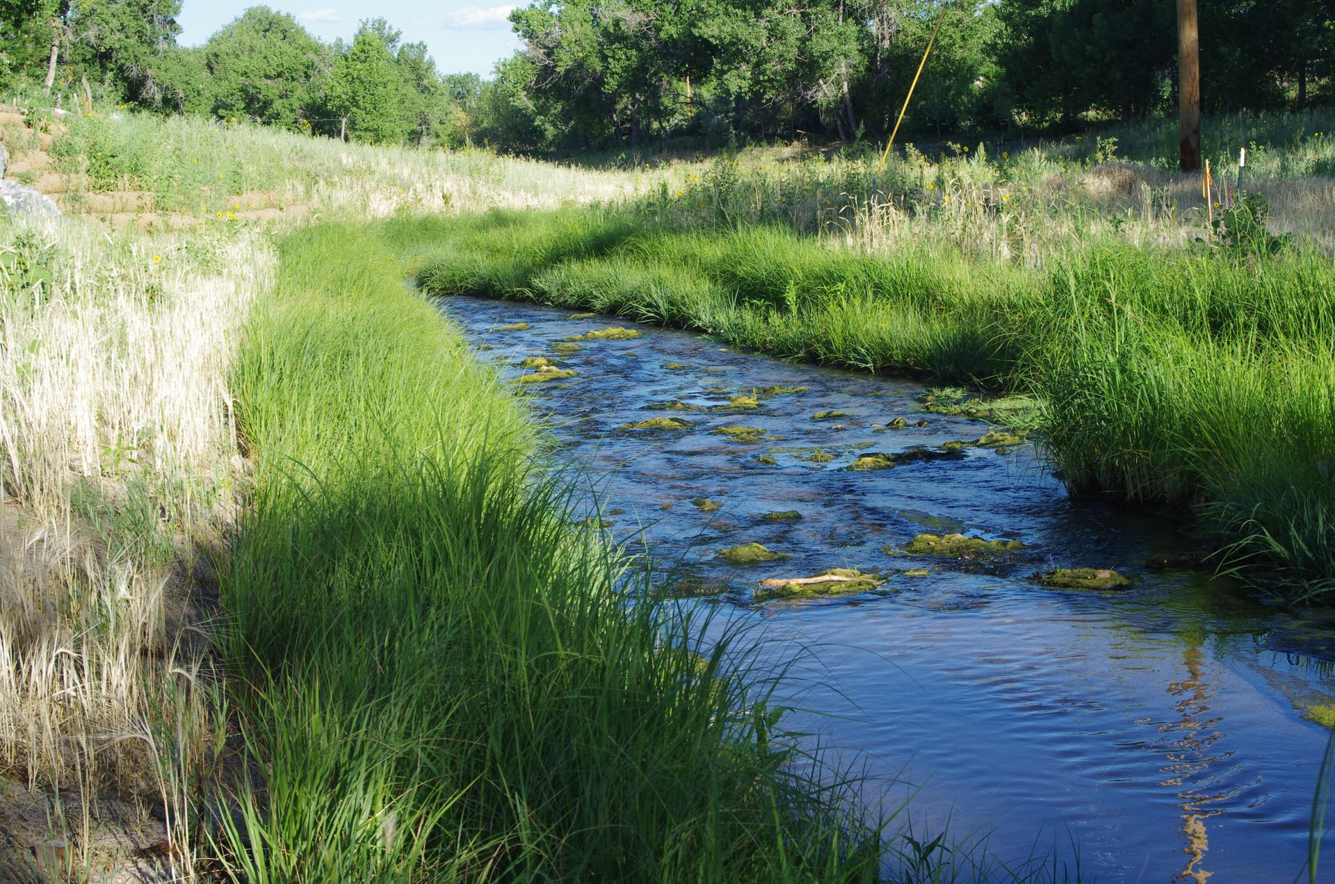 A narrow creek winding through green grass and trees on a sunny day