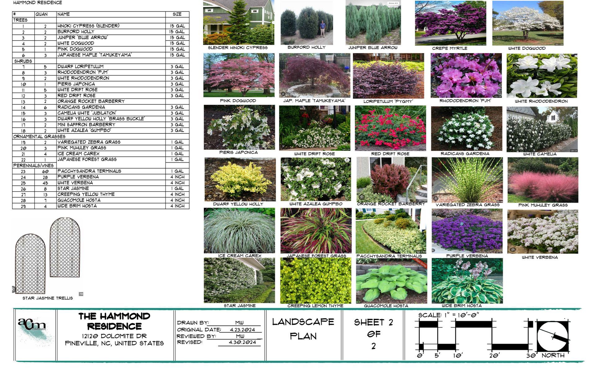 Landscape planting plan with plant photos and a schedule table