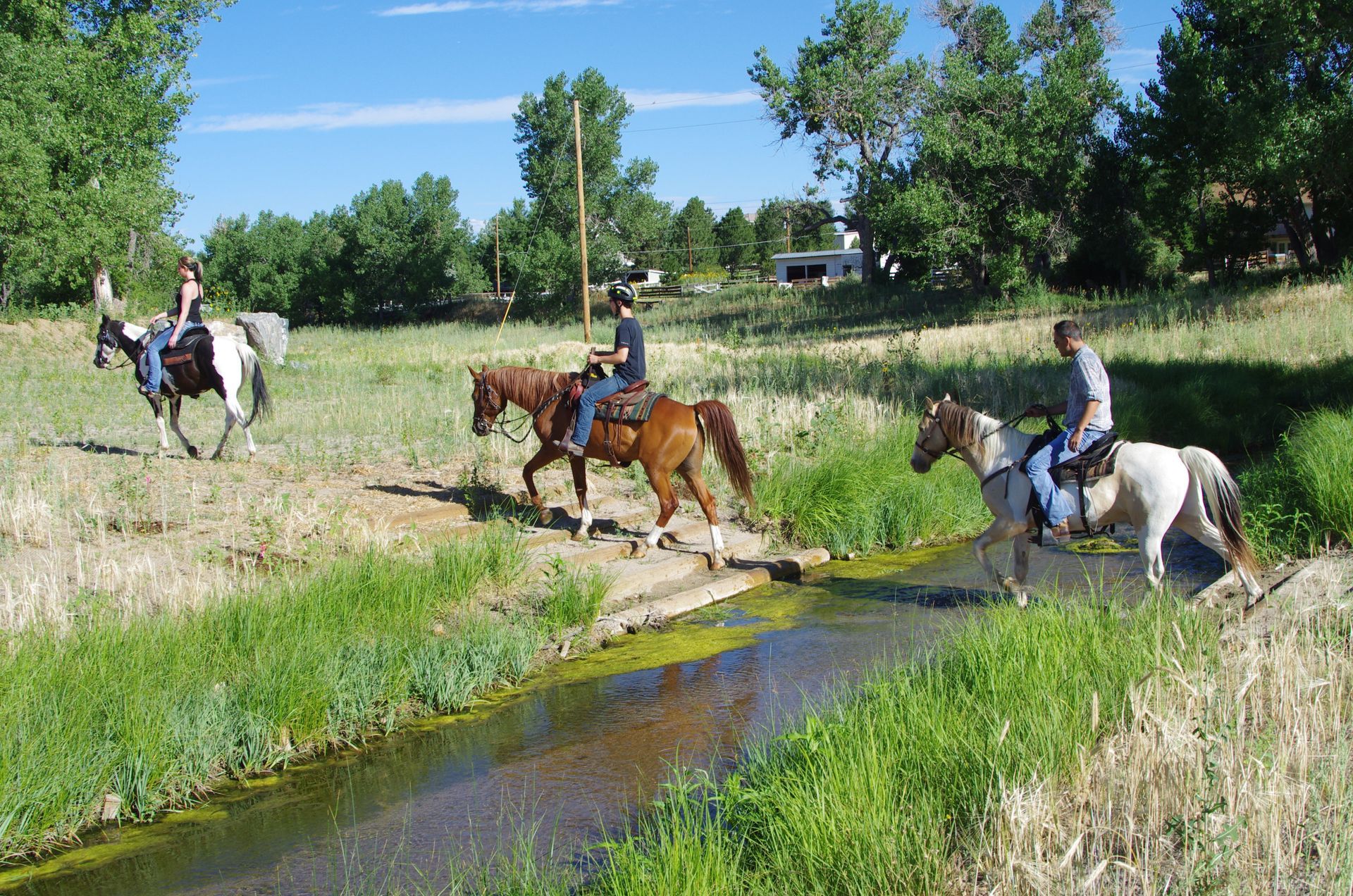 Horse riders crossing a narrow stream in a sunny green field