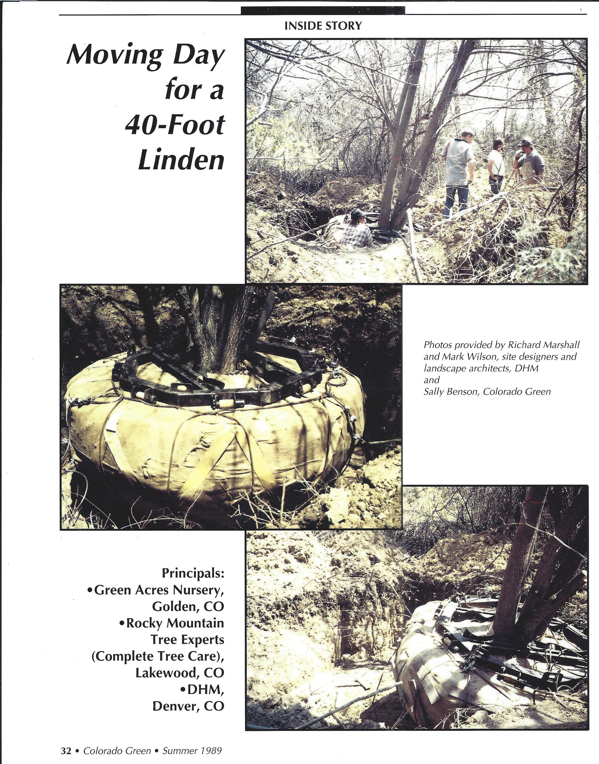 Poster titled “Moving Day for a 40-Foot Linden” with three photos of a tree being moved with equipment.