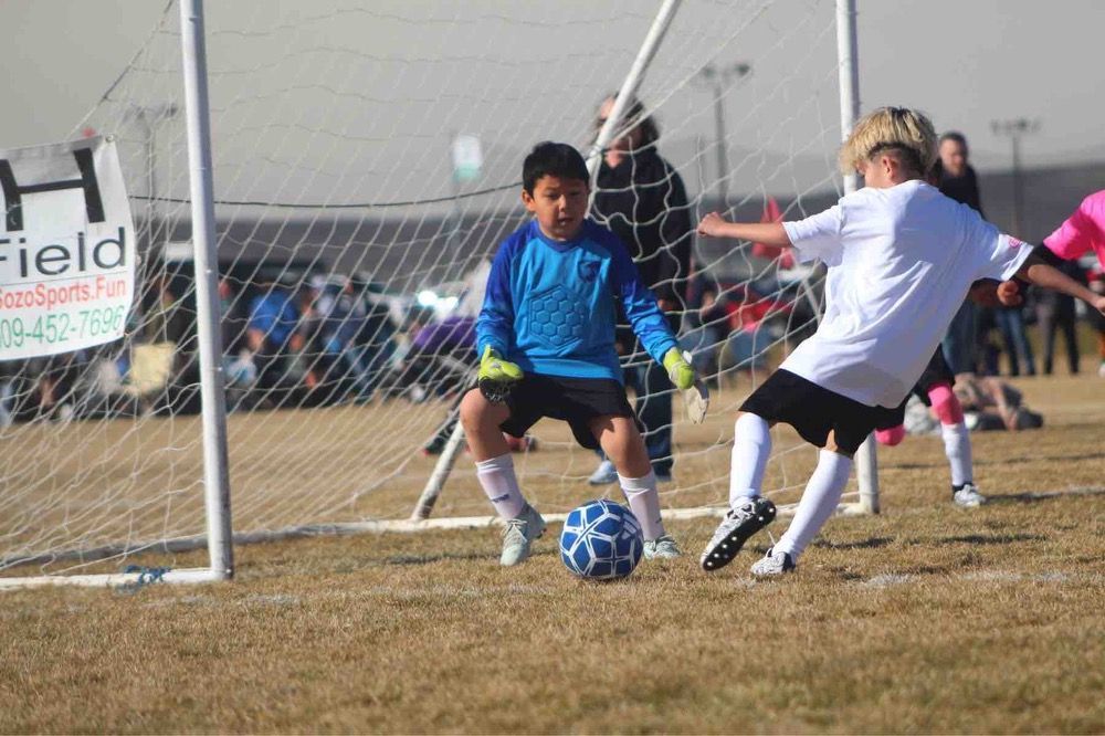 Young soccer players practice on a grassy field with colorful balls in the foreground