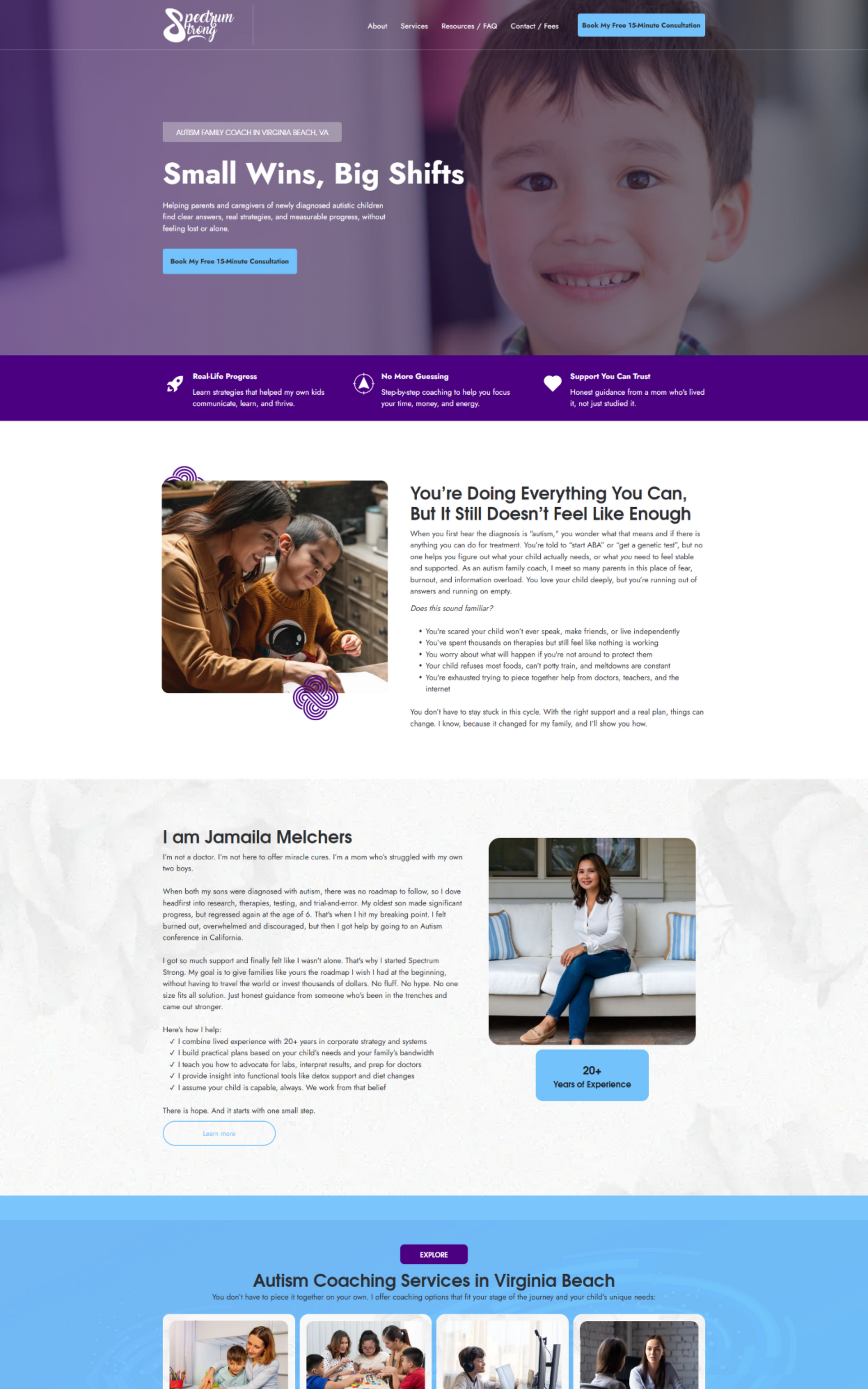 Website screenshot 35
