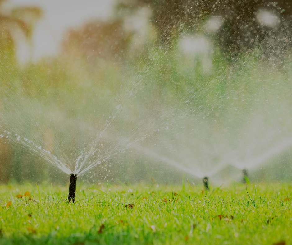 Sprinklers watering green grass in a sunny outdoor setting.
