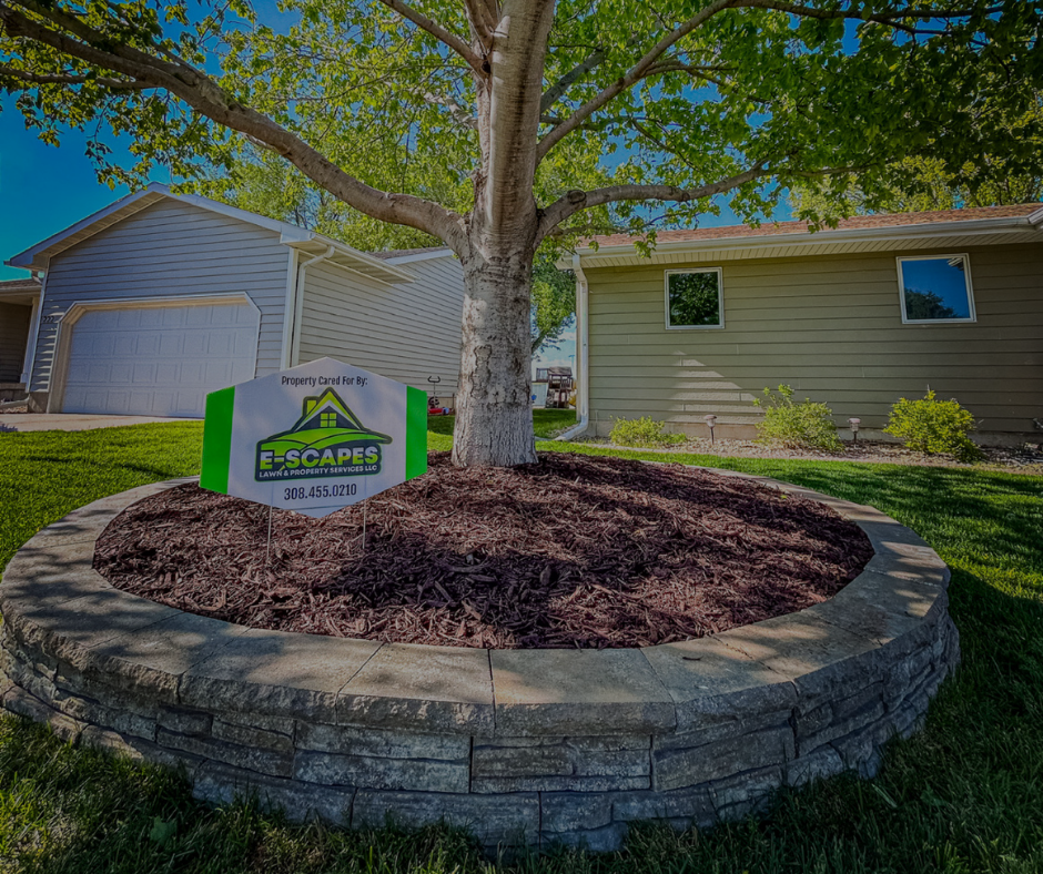 Tree surrounded by stone with mulch, in front of a house. A sign for E-Scapes landscaping is present.