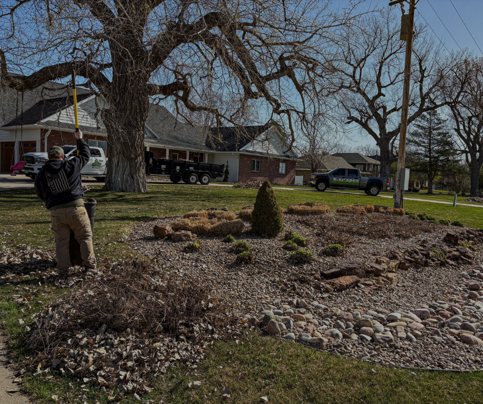 Man pruning a large tree in front of houses, using a pole saw. Landscaping in yard.