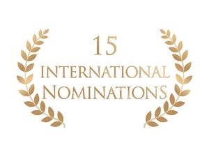 15 allori Nominations internazionali