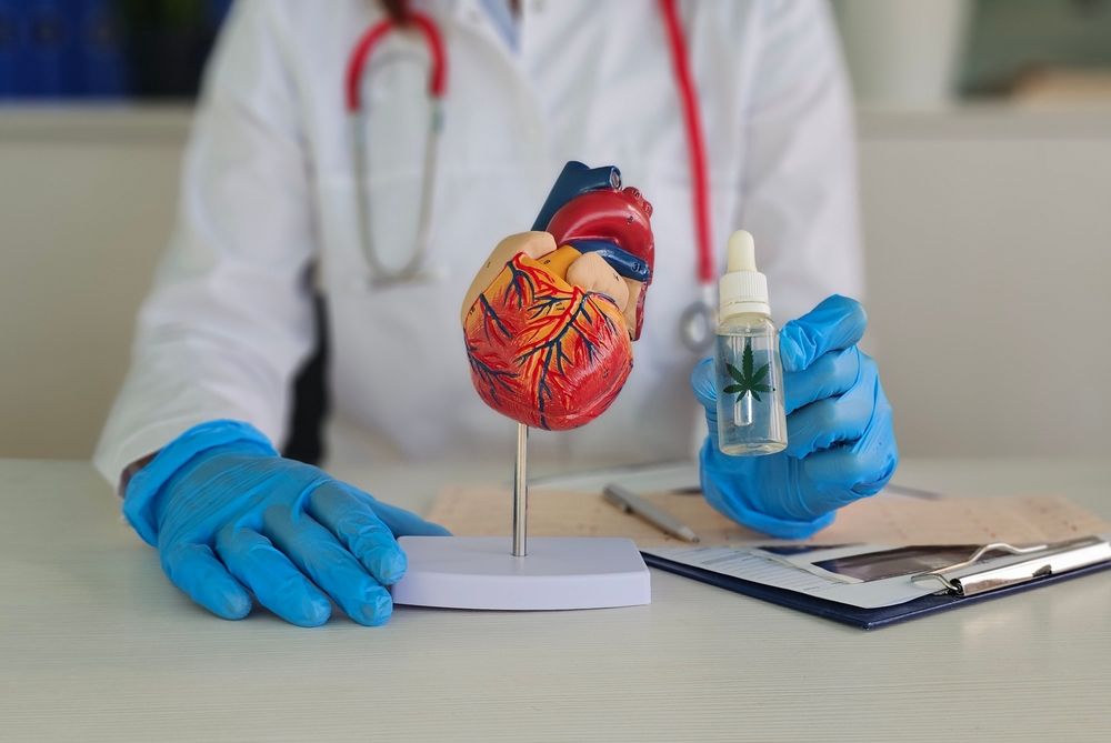 Doctor examining heart model beside clipboard and medication bottle in a clinic