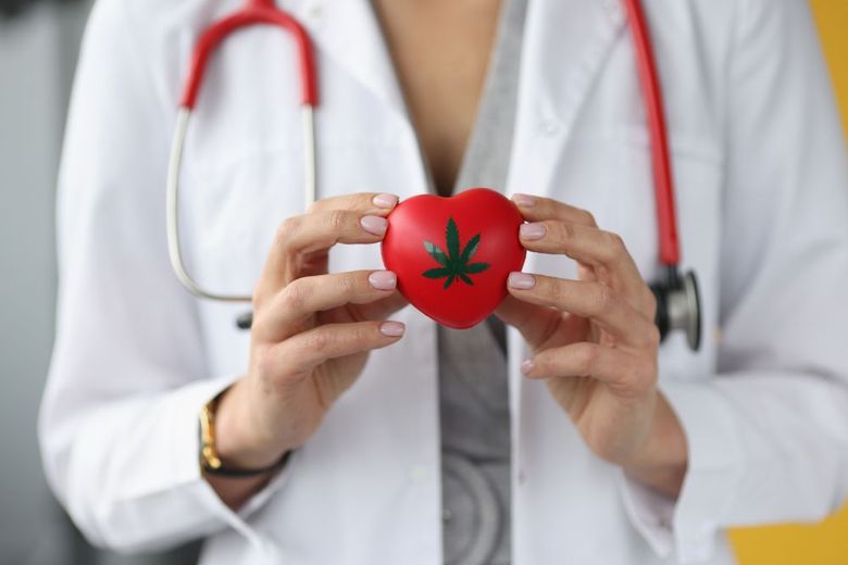 Doctor holding a red heart with a cannabis leaf symbol