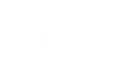 Bodega Jiu-Jitsu Logo