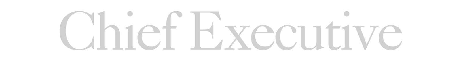 "Chief Executive" in a light grey font.