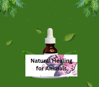 Medicine Bottle — Natural Healing for Animals in Castle Hill, NSW
