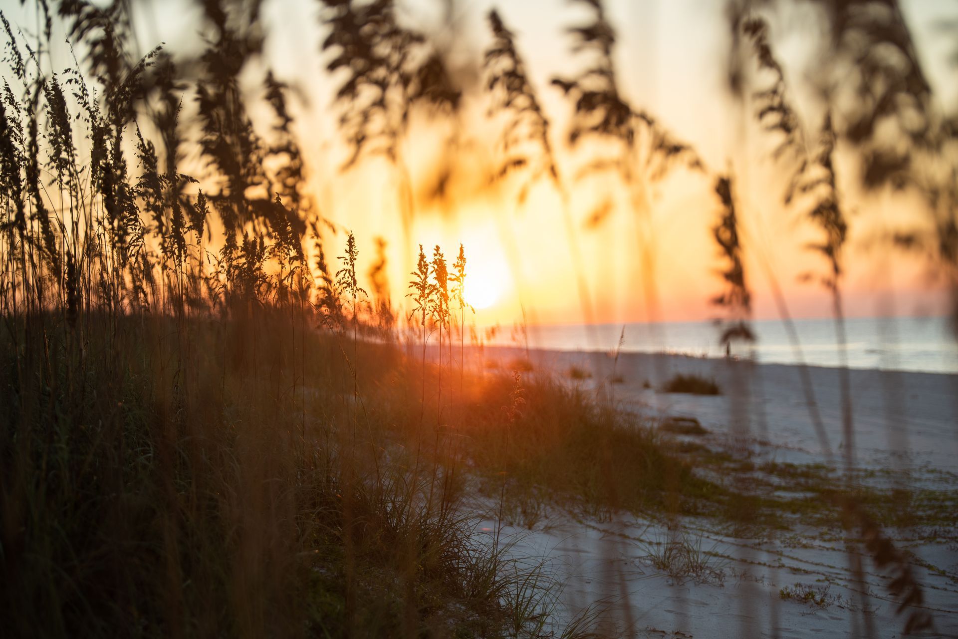 Gulf Shores Beachfront Restaurant